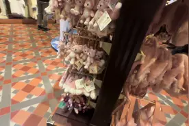 #香港迪士尼有多治愈 #香港迪士尼玲娜贝儿 全部都是贝儿的东西视频封面