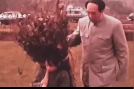 #提升保护力喝光明优倍 #因为一个片段看了整部剧视频封面