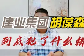 建业集团胡葆森到底犯了什么错？视频封面