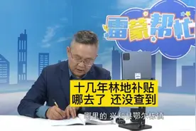 林地补贴哪去了？ #林地补贴 #雷蒙帮忙团 #兴和县视频封面