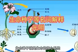 生命种子等名词解释  光明#宇宙知识视频封面