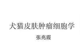 犬猫皮肤肿瘤细胞学#犬猫 #皮肤 #肿瘤 #细胞 #宠物视频封面