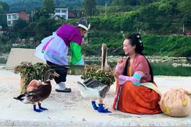 快到家的时候，主人故意走错回家的路，没想到大鹅竟没走错，还知道提醒主人走错路了，其实鹅鸭都知道回家的路的，相当于4-5岁小孩智商