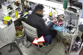 猫咪给主人送老鼠，报恩还是报仇？#动物的迷惑行为 #监控下的一幕视频封面