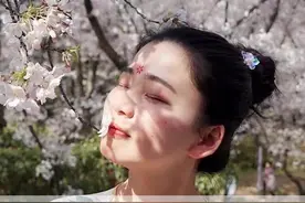 鼋头渚的樱花季开始了，早樱已经盛开了，王牌中樱染井吉野预计23号开始，盛花期在28号左右#一年一度春日赏花地图 #抖音花朝会2025 #为中国小城上分 #无锡 #鼋头渚樱花视频封面