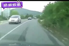 女子驾车撞死不牵绳的狗子，狗主人要求女子赔偿3万元，交警：肇事逃逸不和解就拘留。#民间故事正能量 #撞死不牵绳的狗子视频封面