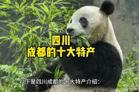 四川成都的十大特产#地方特产 #特产 #互换特产 #家乡特产视频封面