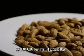 #如何调节大脑中的杏仁核来减轻焦虑视频封面