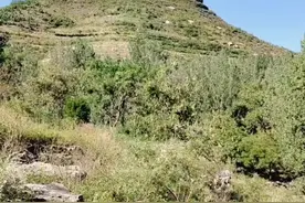 姜家崮静立在沂水县泉庄镇与夏蔚镇交界处，承载着无数传说。它宛如历史的守望者，默默诉说往昔。如今成网红打卡地，吸引众人目光。其独特魅力令人心驰神往，真该抽空前往，去感受自然与传说交融的奇妙，领略那独一份的神秘与壮美。#七十二崮之一的姜家崮。视频封面