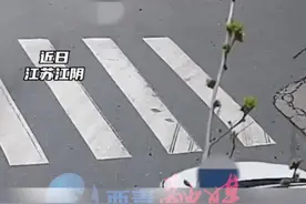 两车相遇谁也不让，从白天杠到半夜，最后被交警双双带走#道路千万条安全第一条 #交通安全 #这操作都看傻了视频封面