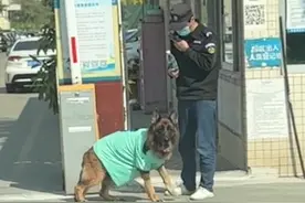 在这工厂园区里，报糯米名字好使🤣🤣#狗狗糯米视频封面