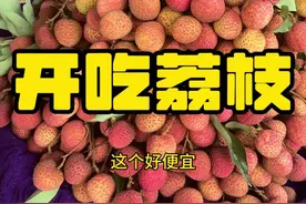 吃遍中国四川合江：合江的各种荔枝我来啦！ #美食 #旅行 #合江荔枝 @合江文旅视频封面