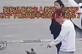 狗狗乱跑主人教训它，一旁两岁的孩子下跪（萌娃说:“哥，给兄弟一个面子吧！”）求情举动把主人搞乐了#我要上热门 @DOU+小助手 #宠物#狗狗#孩子#主人视频封面