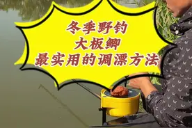 冬季野钓大板鲫最实用的调配方法，教程视频，希望对新手有所帮助 #入冬钓鱼指南 #调漂技巧 #钓鱼 #钓鱼人 #调漂视频封面