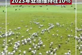 量化私募遥遥领先！桥水净值超越半夏投资，规模已超400亿！2023年业绩维持在10%视频封面