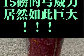 重新认识一下“低磅数”弓箭 #冷兵器 #弓箭#传统弓 #15磅