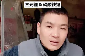 三元锂电与磷酸铁锂电池 区别 #锂电池视频封面