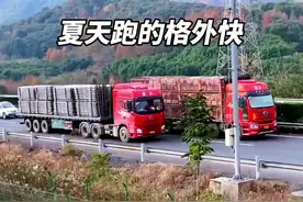 为什么夏天的拉猪车跑的这样快？#拉猪车 #卡车视频封面