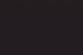 #233乐园 #边境检察官（中文版）