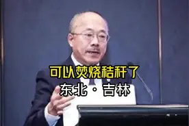 东北秸秆开烧了！秸秆焚烧逐步放开认错羞答答，禁烧惠农还是榨农视频封面