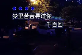 梦里苦苦寻过你千百回，奈何意中的人儿难相会...#用音乐诉说情感 #愿所有真情都不被辜负 #情感 #音乐视频封面
