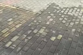 狗妈妈被车撞了，去了汪星😭留下了5只出生才3天的狗宝宝😭。救下带回基地，让狗妈花花一起喂养😭花花看着失去妈妈的狗宝，流泪了🙏🏻🙏🏻🙏🏻#动物也有爱 #犬伴一生 #救助视频封面