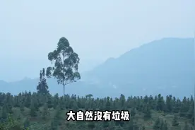 循环农场 大自然没有垃圾 #农业 #砍树  #返乡创业新农人 #投资视频封面