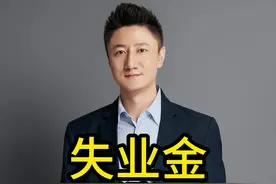 失业金又涨了 #创作灵感 #法律咨询 #职场 #失业金 #劳动法视频封面