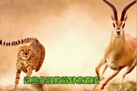 鲁迅一语道破强者和弱者的本质#鲁迅名言 #悟人生之道视频封面