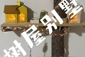给小松鼠搭了一个树屋别墅，非常的高端非常的大气，生活设施一应俱全#小院改造 #树屋 #松鼠 #装修 #房屋改造视频封面