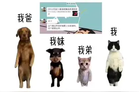 调皮的大姐姐，原创有趣表情包父子组视频封面