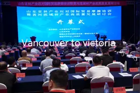 山东省林产业应对国际贸易摩擦培训暨黄河流域林产业高质量发展…视频封面