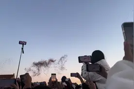 万羽和平鸽腾空而起，绕天安门上空盘旋，三十万人齐唱国歌视频封面