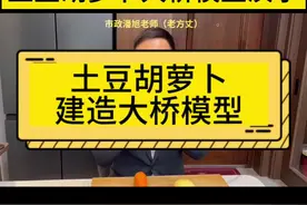 土豆胡萝卜演示大桥结构视频封面