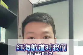 红海航道对谁的影响大？#红海行动 #胡塞武装视频封面