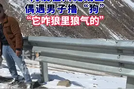 网友在川藏线拍到路人疑似逗“狼”。视频封面