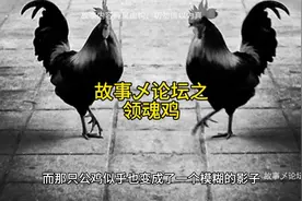 你知道人在下葬的时候，为什么都要在棺材上放一只公鸡吗？视频封面