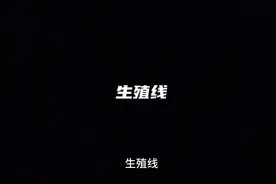 生殖线#面相 #国学文化 #手纹 #手心乱纹 #掌纹视频封面