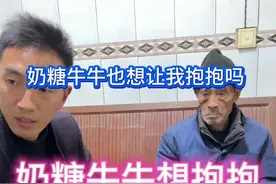 晚饭吃了看看电视 狗子们挺享受牛皮床垫，恒温牛皮床垫坐着确实舒服。奶糖牛牛也想让我抱抱，你这身板确实有点难为我#狗子喜欢牛皮床垫 #牛牛想让我抱抱 #记录真实生活 #动物 #宠物视频封面