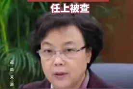 #河南 “内鬼”高建慧、杨彬官宣被查