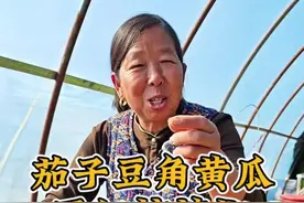 蔬菜的种植时间 西红柿辣椒茄子豆角黄瓜的种植时间#蔬菜种植 #豆角种植 #辣椒种植 #腊八节 #生菜杨姐 @DOU+小助手 @DOU+上热门视频封面
