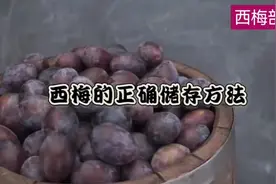 西梅的正确储存方法视频封面