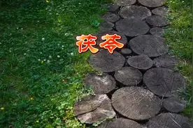 #神农本草经讲解 中医药传承#中医文化博大精深视频封面