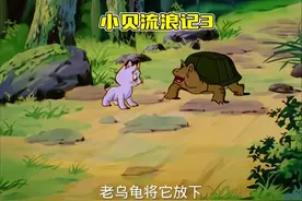 小贝回家路途漫漫 小白猫为了回到妈妈身边，遭遇猛兽的袭击视频封面