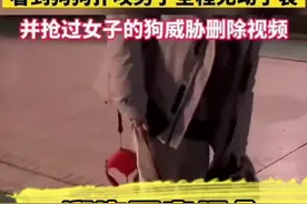 遛狗不牵绳会受到什么法律后果？#权威解读视频封面