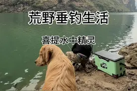 最豪华的荒野庇护所马上成型，大冬天的居然还能钓到水中精灵！#原来钓鱼才是抖音运动顶流 #荒野垂钓 #爱生活爱钓鱼 #庇护所建造 #dou来钓鱼视频封面