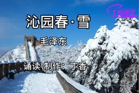 九年级上册语文，毛泽东的《沁园春·雪》#朗诵#古诗词#语文视频封面