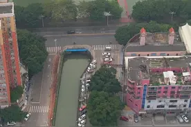 在繁华的闹市中，过着世外桃源的生活#世外桃源视频封面