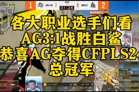 各大职业选手们看，AG3:1战胜白鲨。恭喜AG夺得CFPLS24总冠军！视频封面
