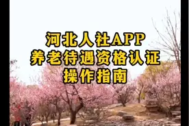 #河北人社 #养老认证 #养老金 #村里那些事视频封面